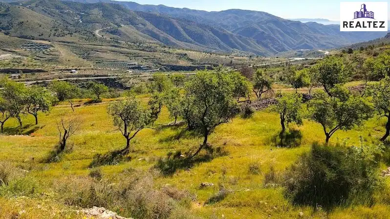 Rural land for sale in Felix, imagen 29