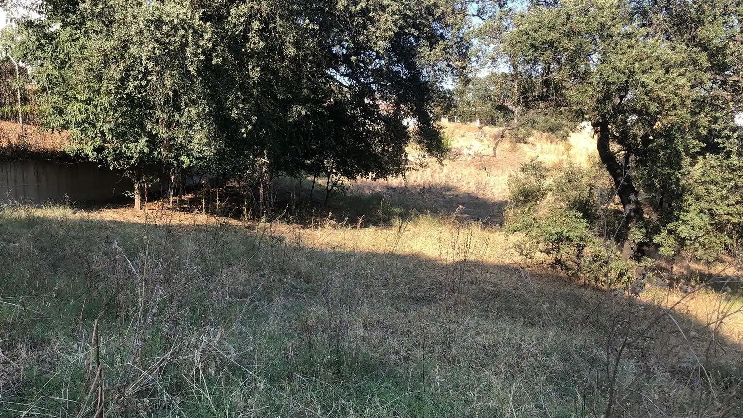 Wohnbaugrundstück zum Verkauf in Avenida de los Encinares 48, imagen 6