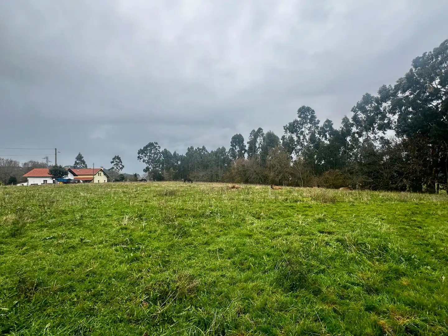Residencial en venda en Ribadesella