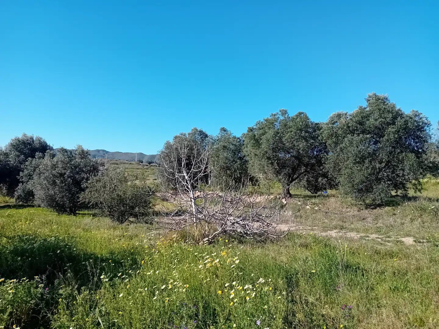 Land for sale in Cartagena