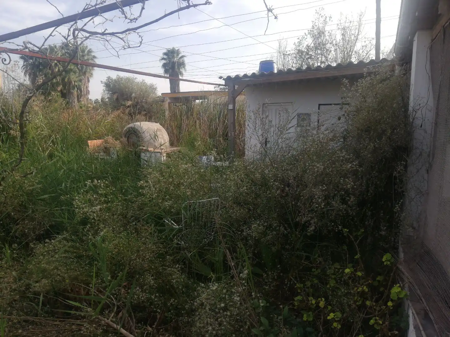 Haus mit Garten zum Verkauf in Partida Almalafa 107, imagen 17