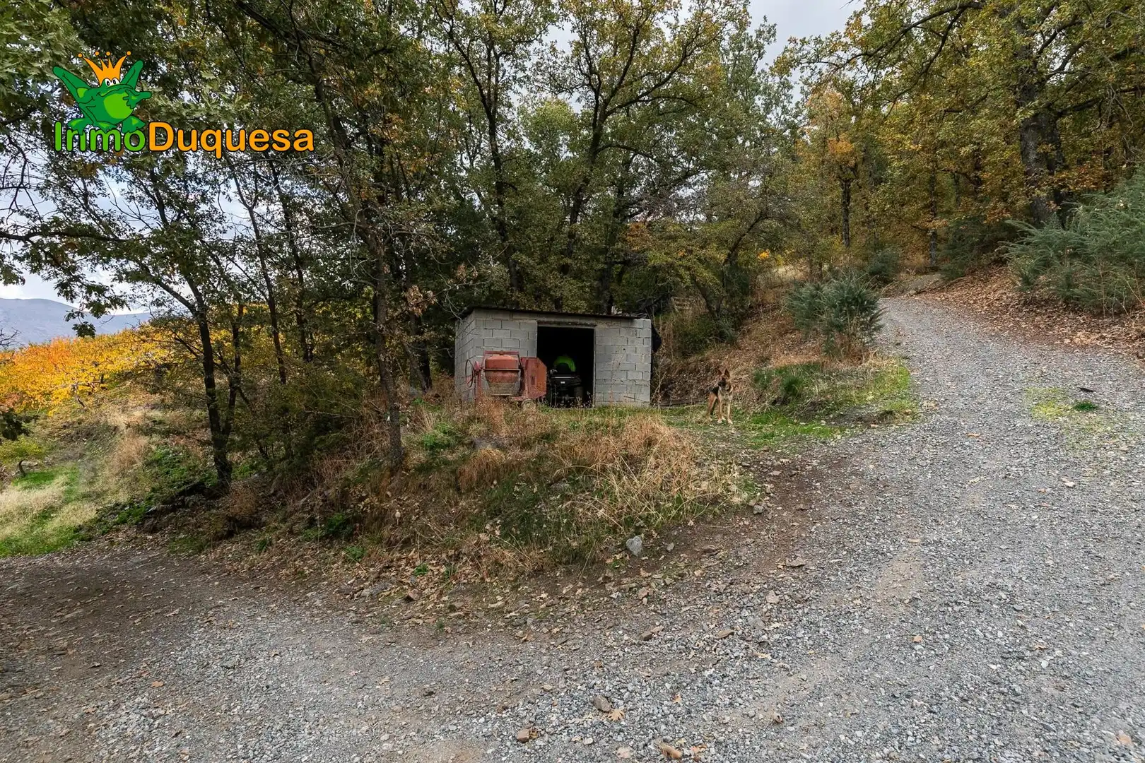 Casa rústica en venda a Güéjar Sierra, imagen 8