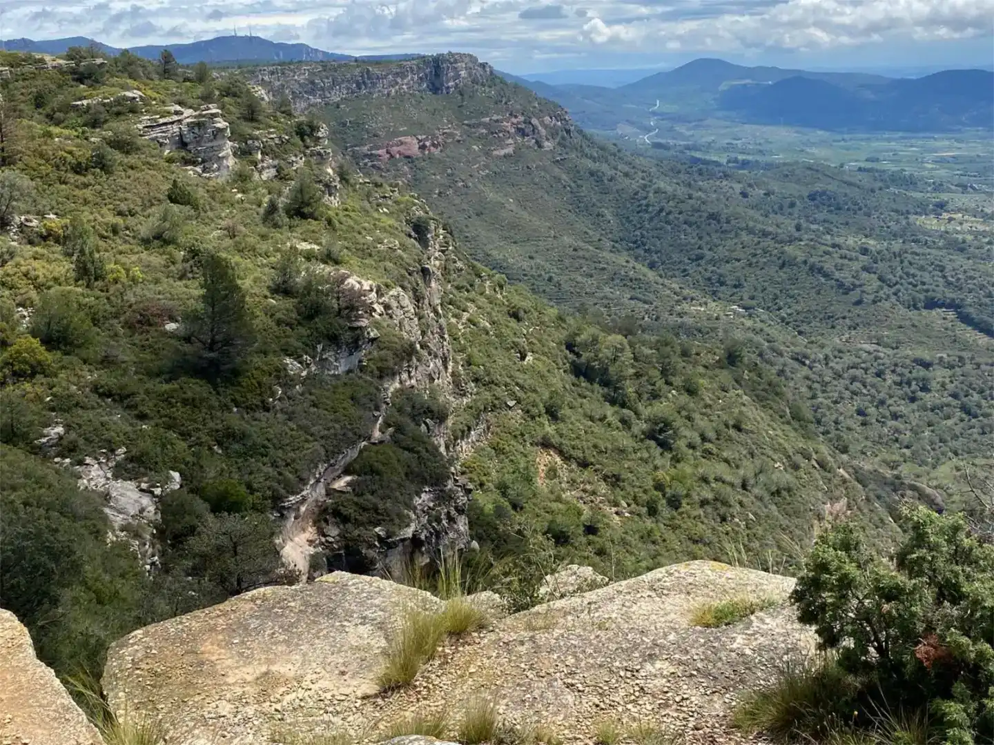 Vista exterior de Finca rústica en venda en Arbolí amb Jardí privat