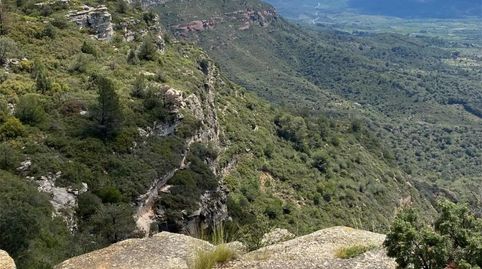Foto 2 de Finca rústica en venda a Tv-7092, 12, Arbolí, Tarragona