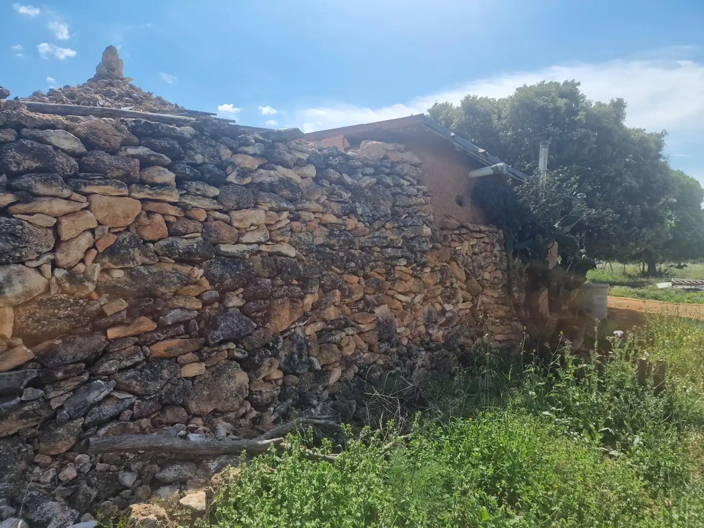 Terreno rustico in vendita a Valls