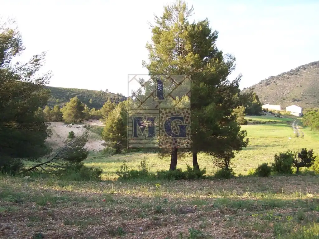 Finca rústica en venta en Yeste