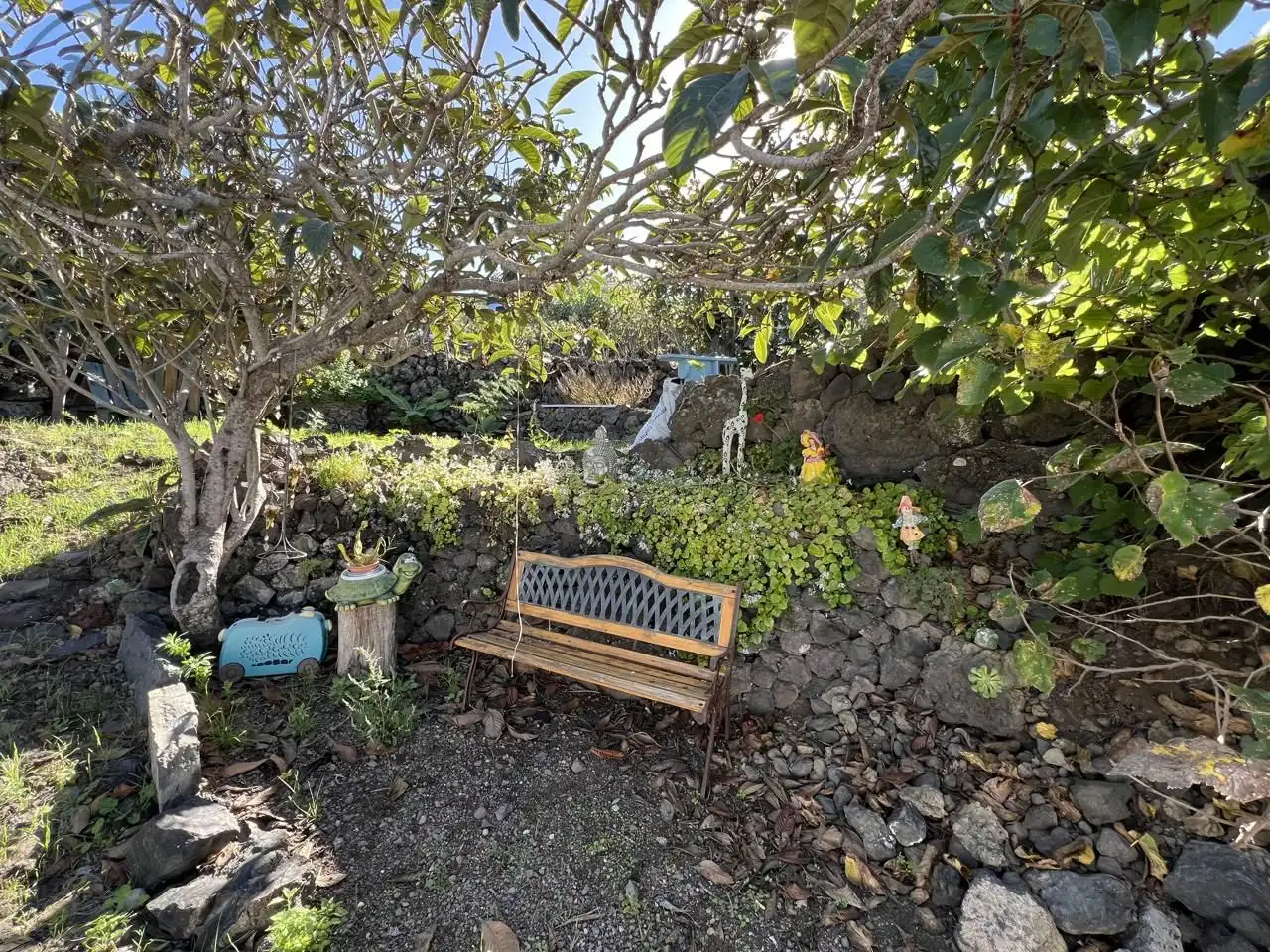 Garden of Country homes for sale in Garachico  with Private garden and Terrace