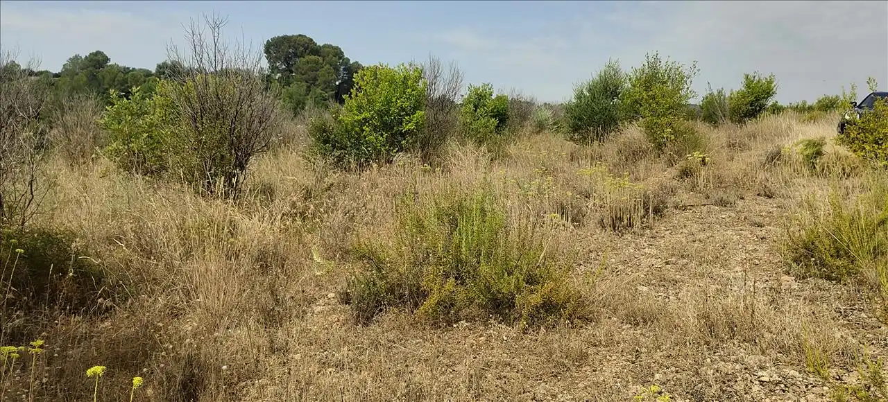 Terreno residencial en venta en Olivares, imagen 15