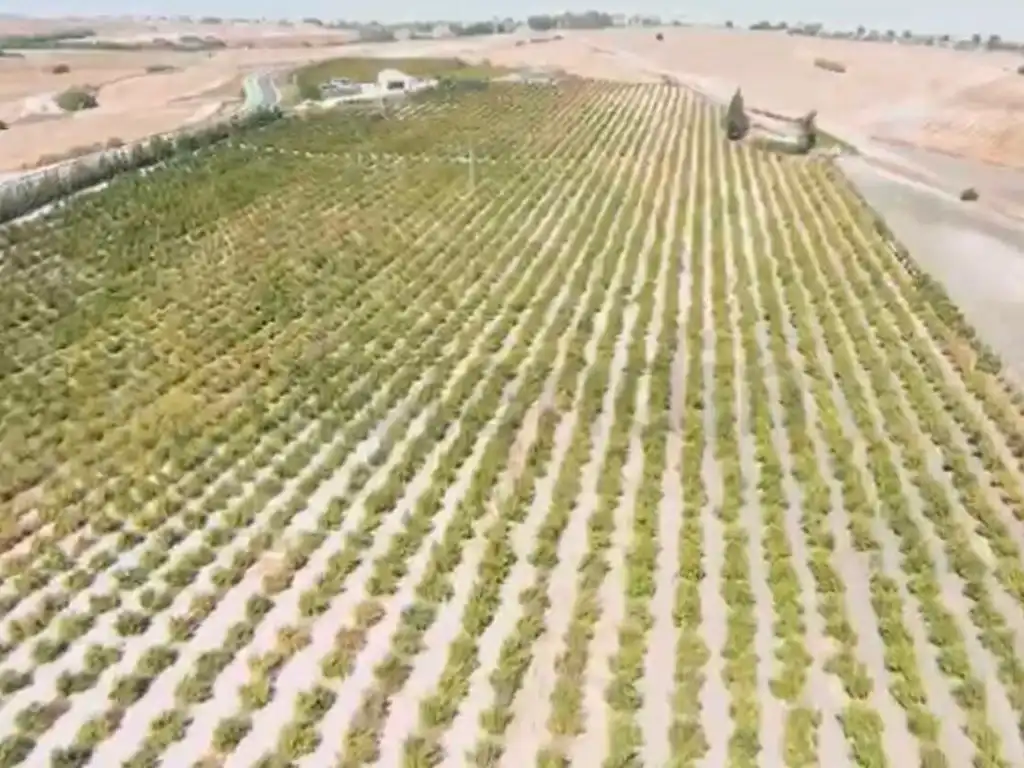 Rural land for sale in El Retiro - Parque Atlántico - Ronda este, imagen 38