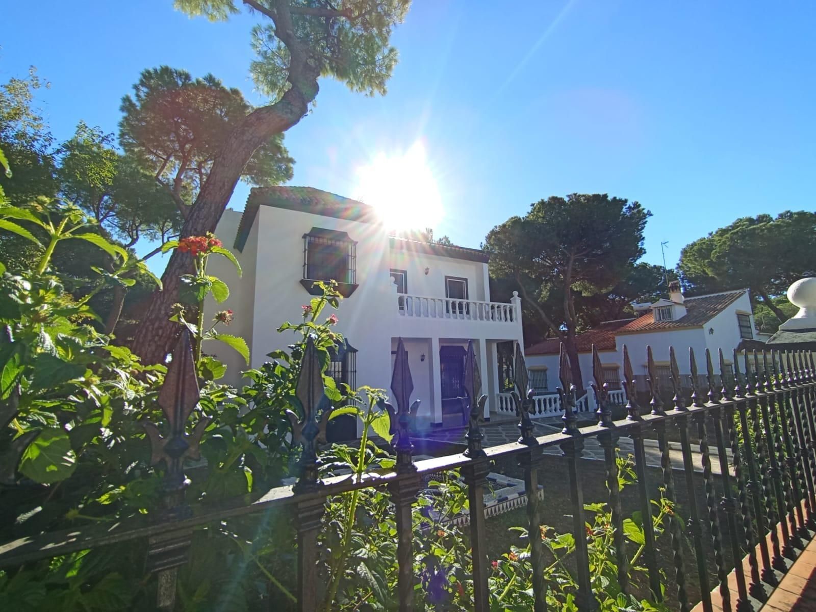 Jardí de Casa o xalet en venda en Alcalá de Guadaira amb Jardí privat, Terrassa i Traster