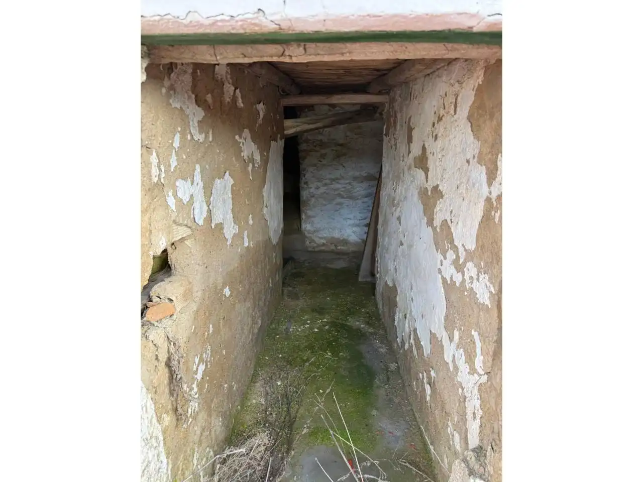 Casa adosada en venta en Segura de León