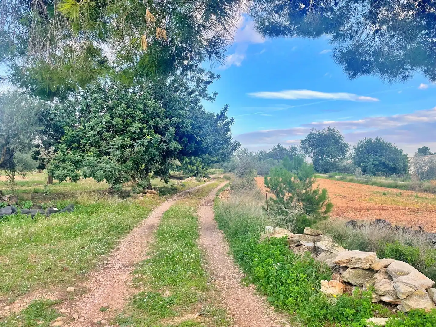 Casa o chalet en venta en Tortosa