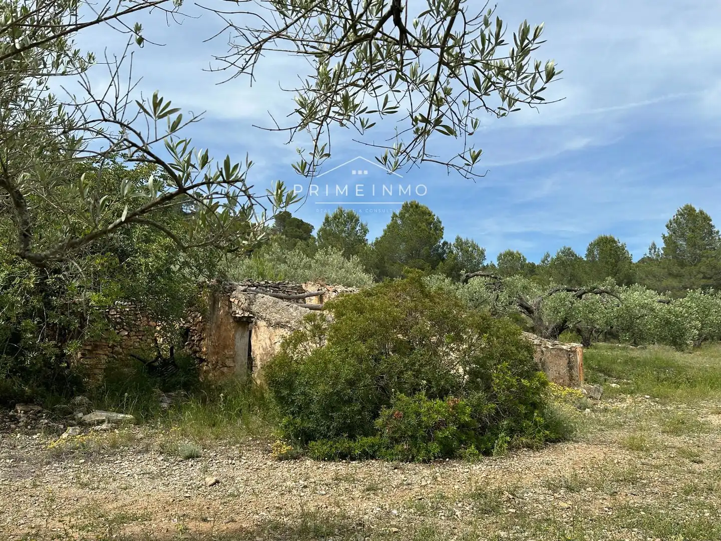 Terreno rústico en venta en L'Ametlla de Mar pueblo, imagen 25