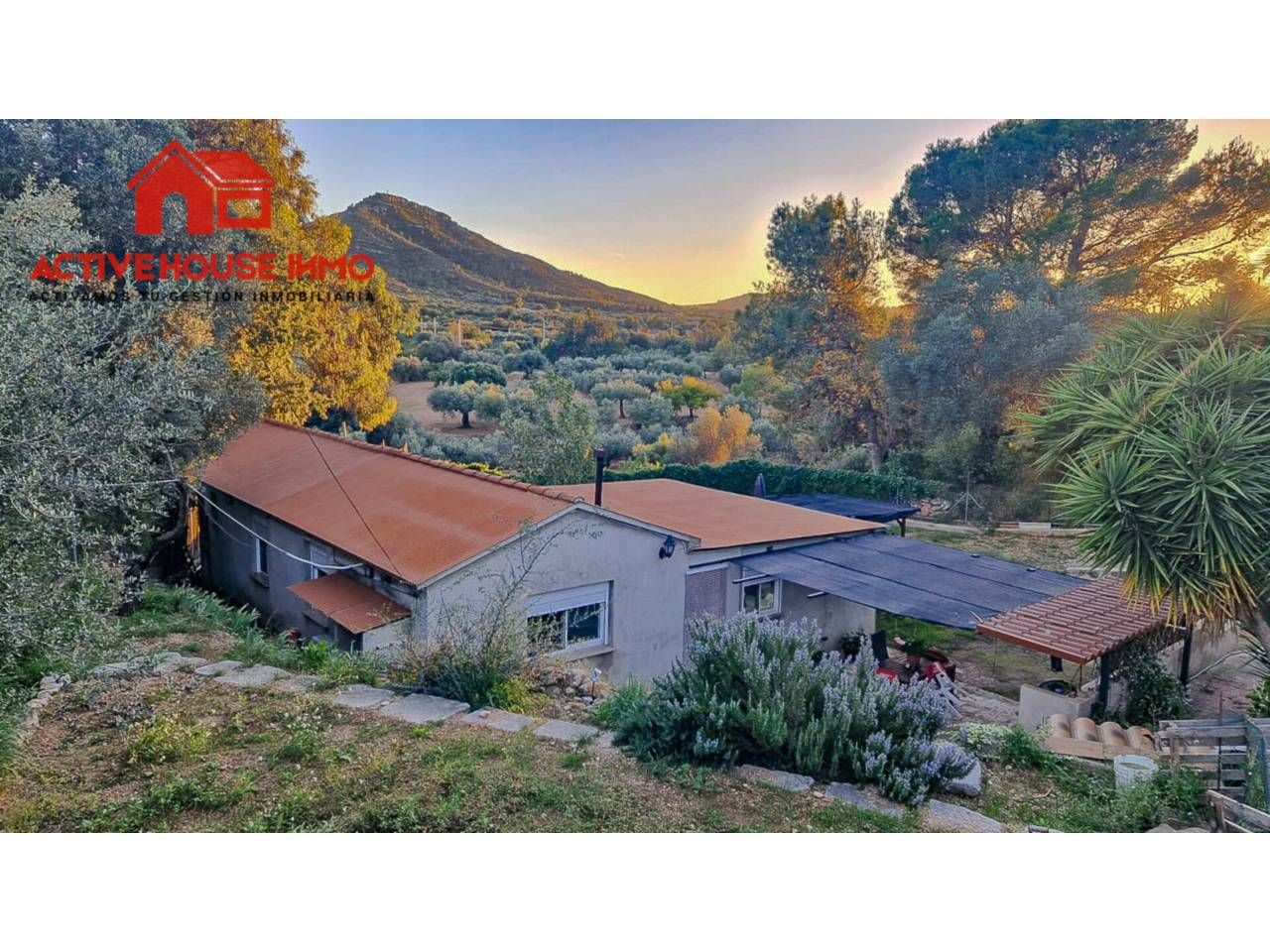 Vista exterior de Finca rústica en venda en Amposta amb Aire condicionat, Jardí privat i Terrassa