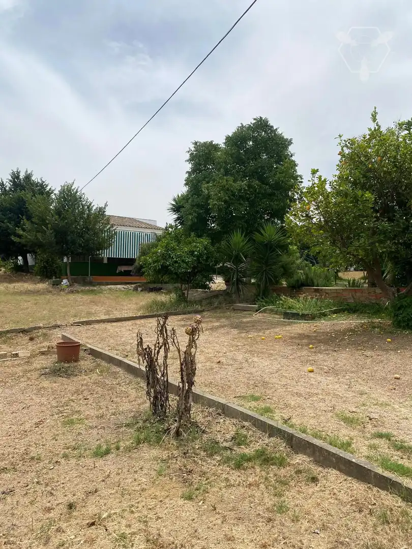 Casa o chalet en venta en Gibraleón