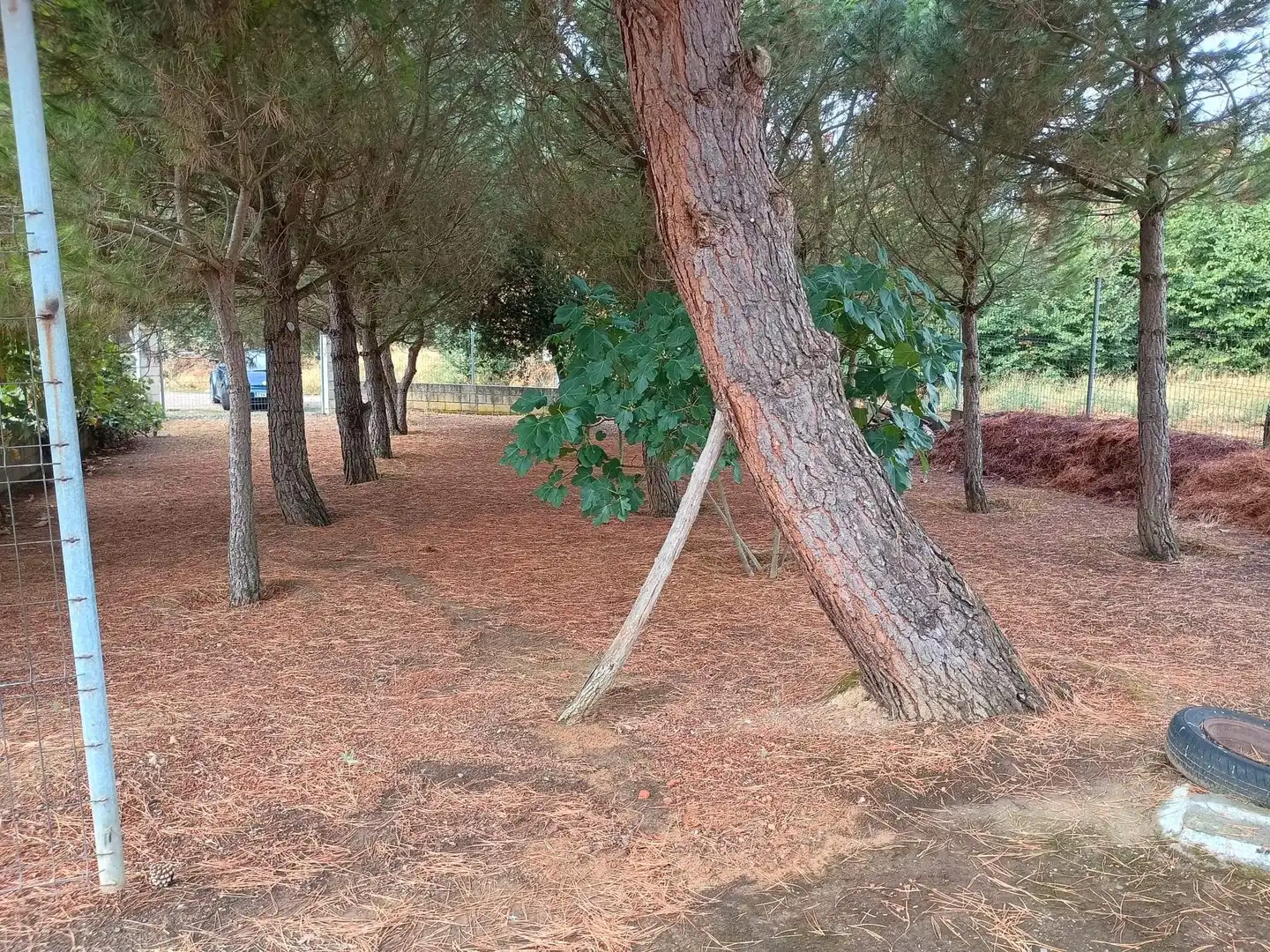 Terreno residenziale in vendita a Ardón, imagen 5