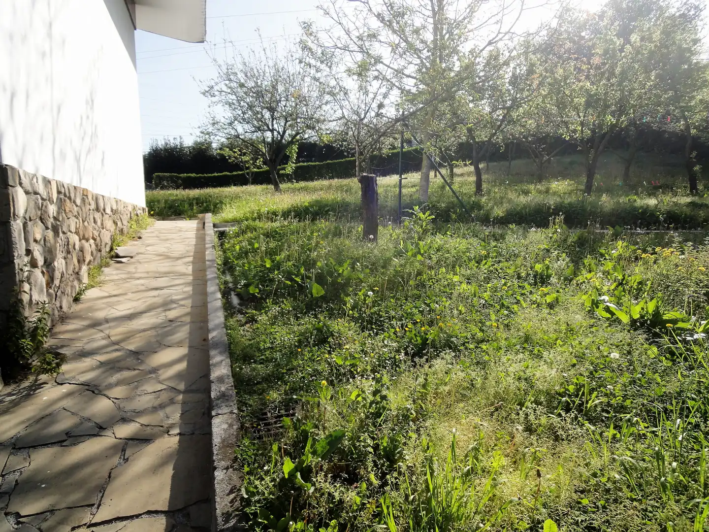 Villa avec jardin à vendre à Fano Auzoa, imagen 17