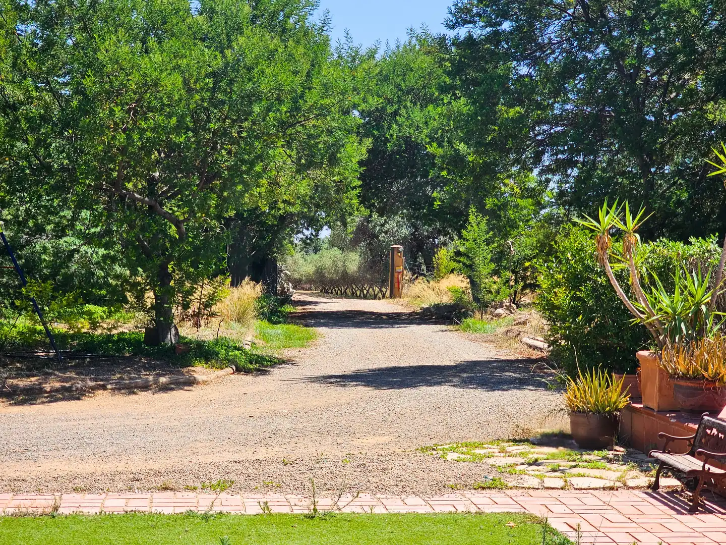 Casa rústica con piscina en venta en Montbrió del Camp, imagen 39