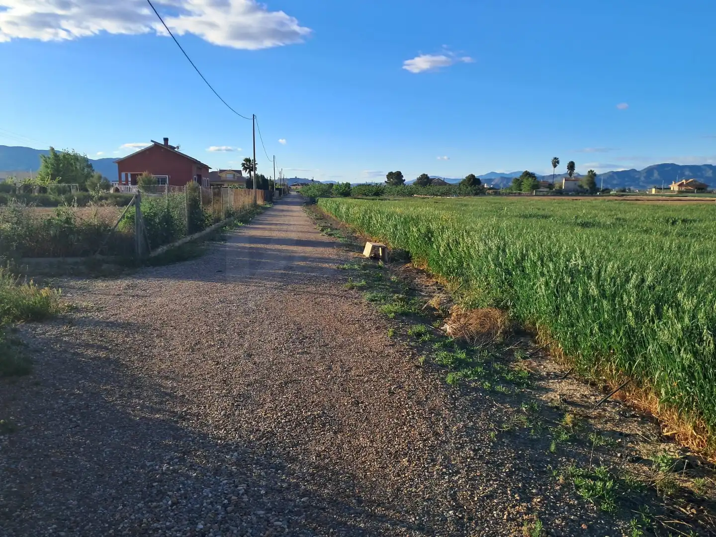 Terrenos y solares en venta en Lorca Ciudad, imagen 11