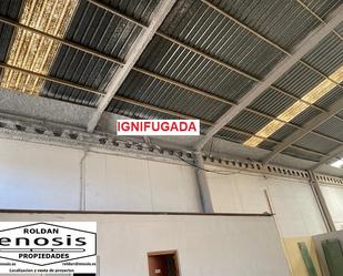 Industrial buildings to rent in Pilar de la Horadada