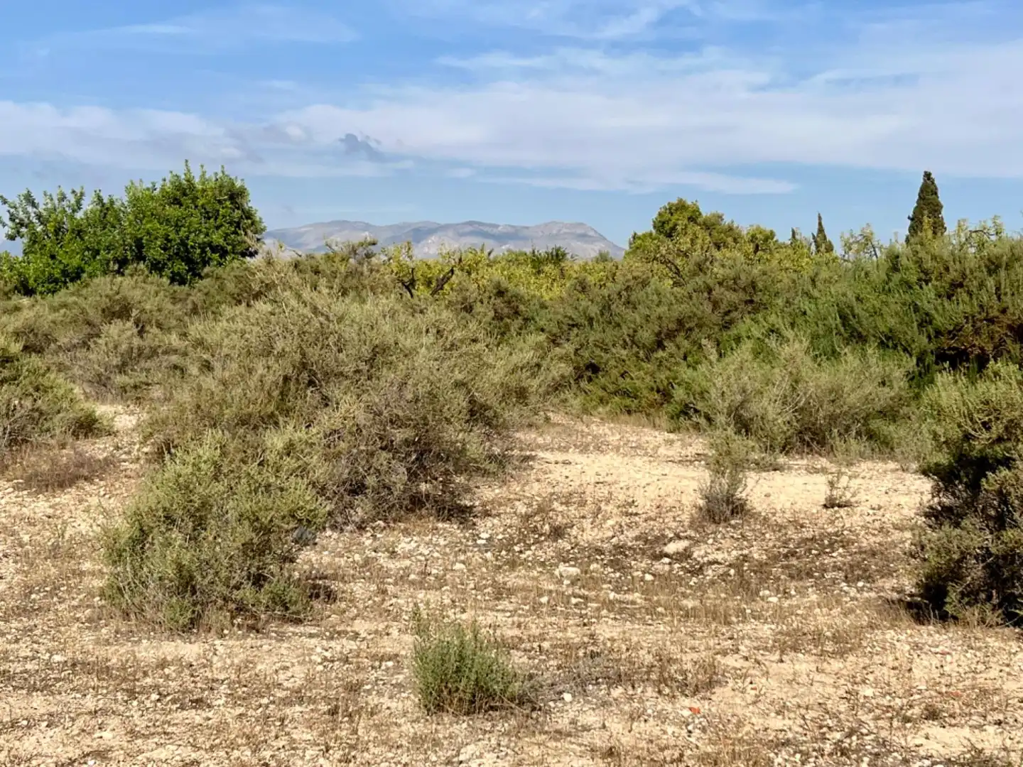Residencial en venta en Elche de la Sierra