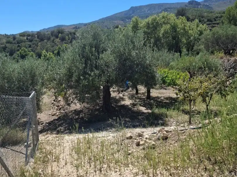 Grundstücke zum Verkauf in Beniardà