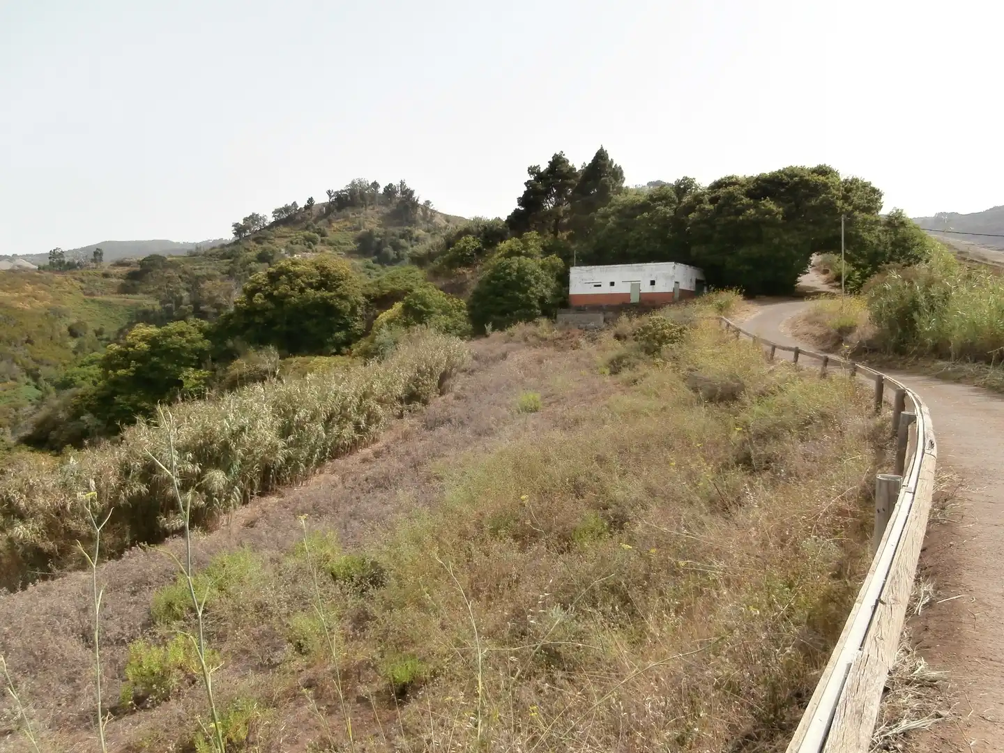 Finca rústica en venta en Camino Lomo el Marco, 41, Moya (Las Palmas)