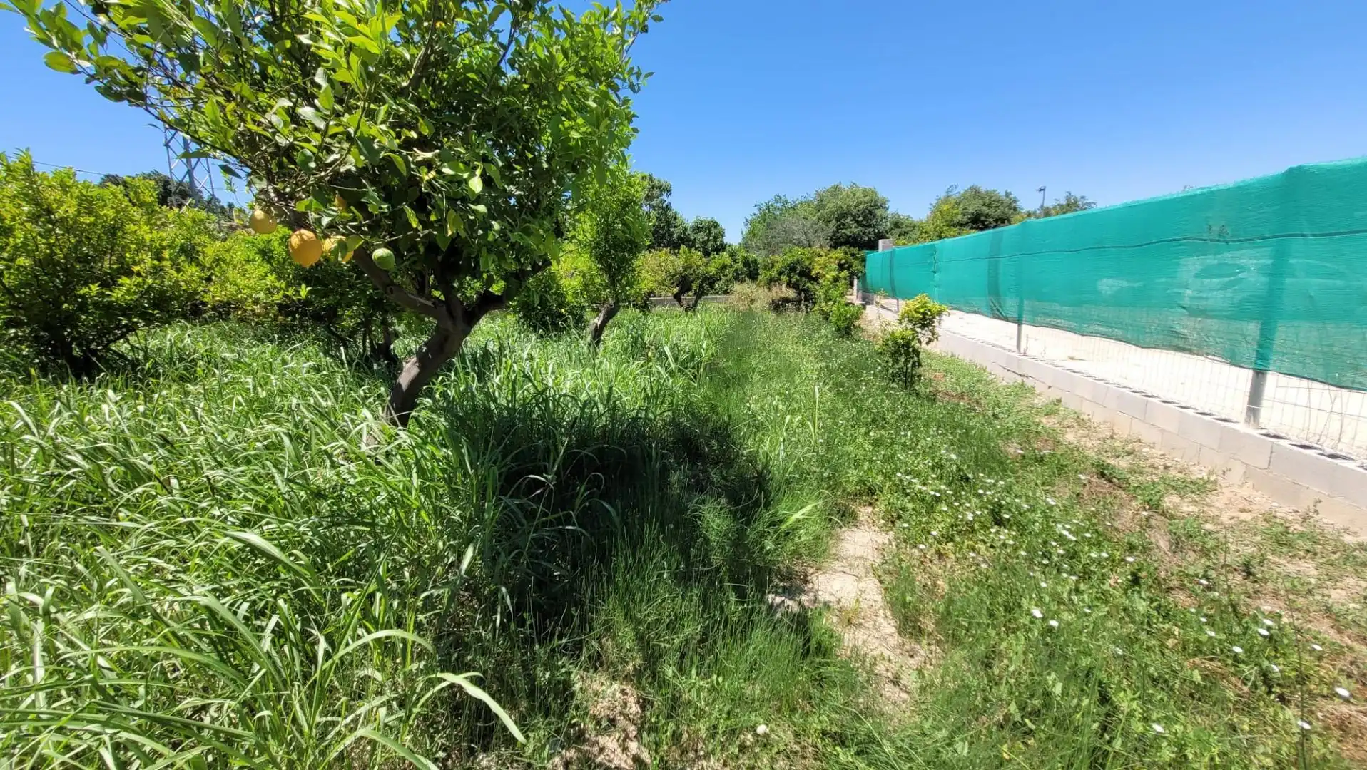 Terreno en venta en Murcia