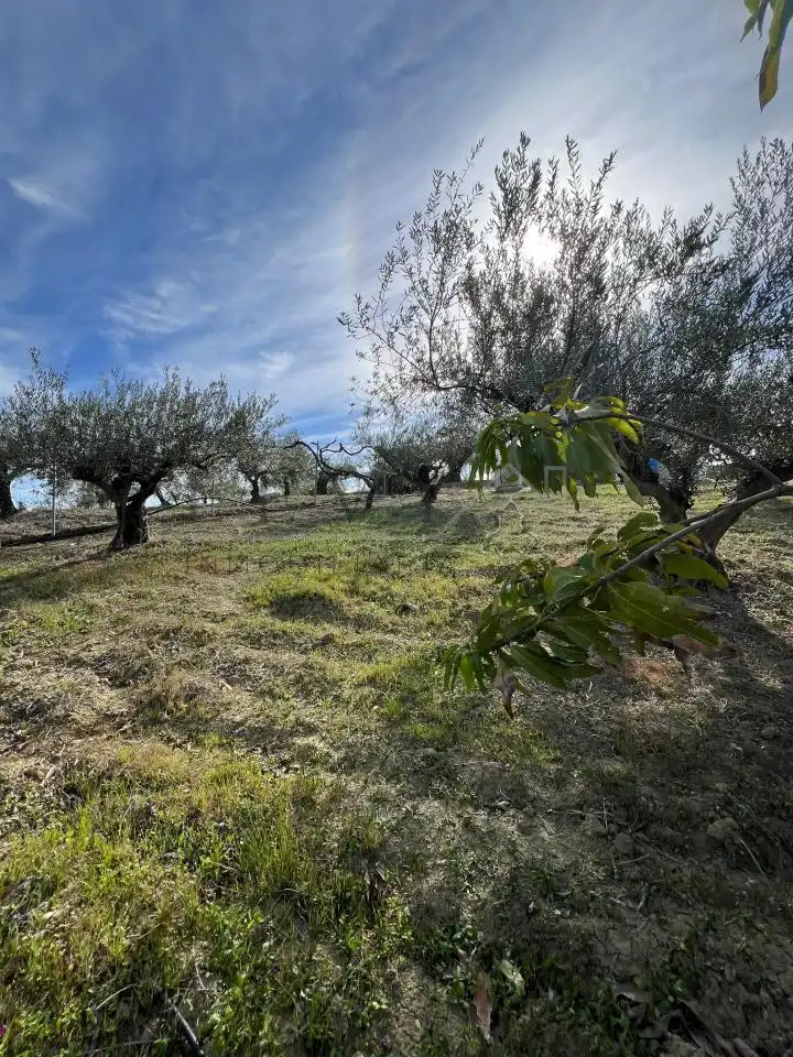 Terreno rustico in vendita a Guaro
