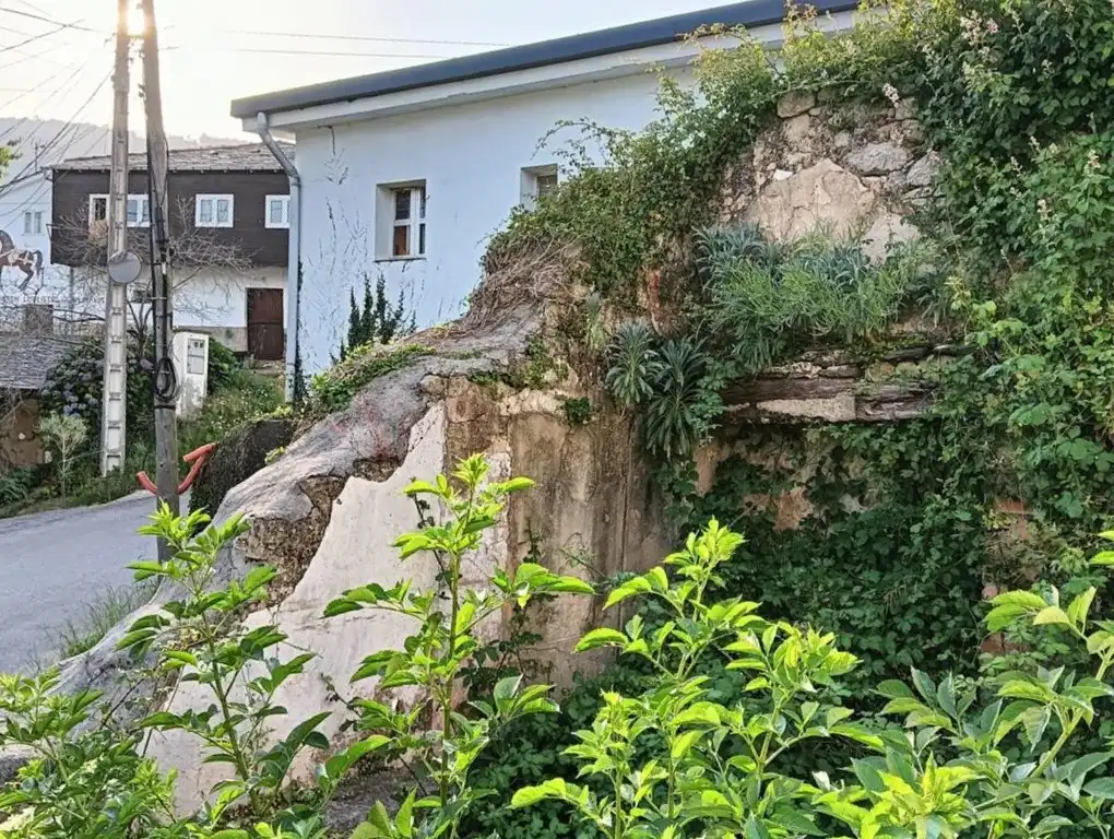 Garden of Residential for sale in Boal