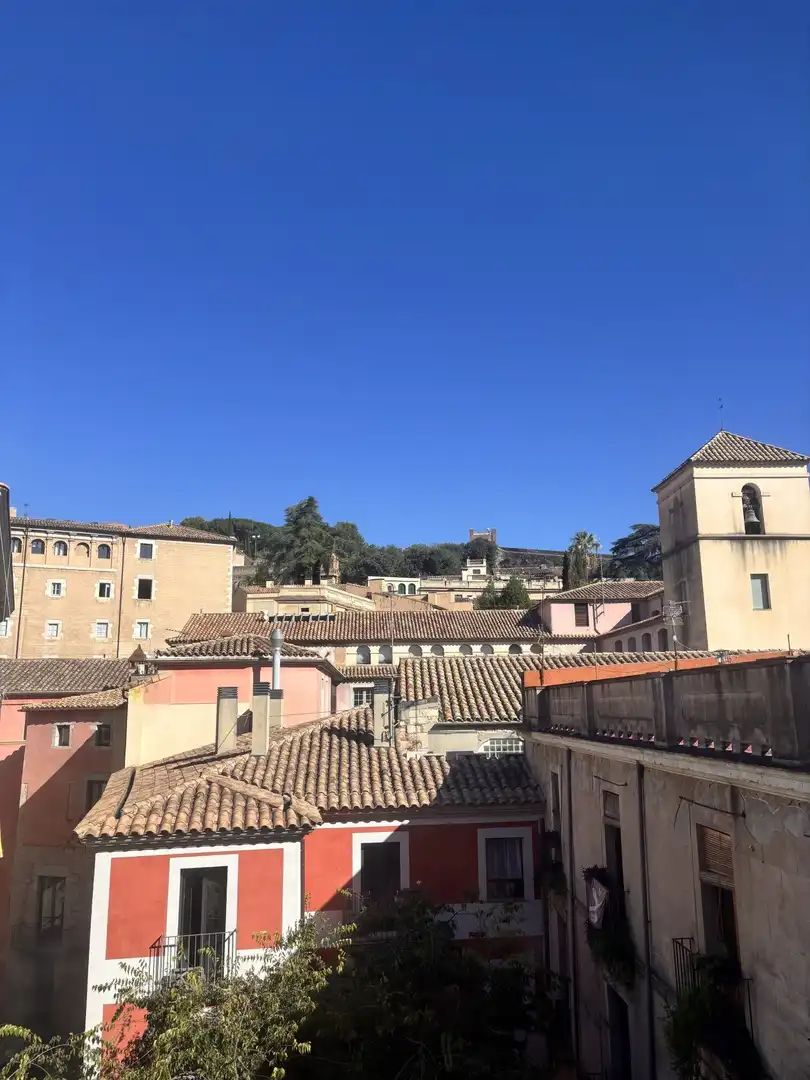 Pis amb terrassa de lloguer a OLI, imagen 13