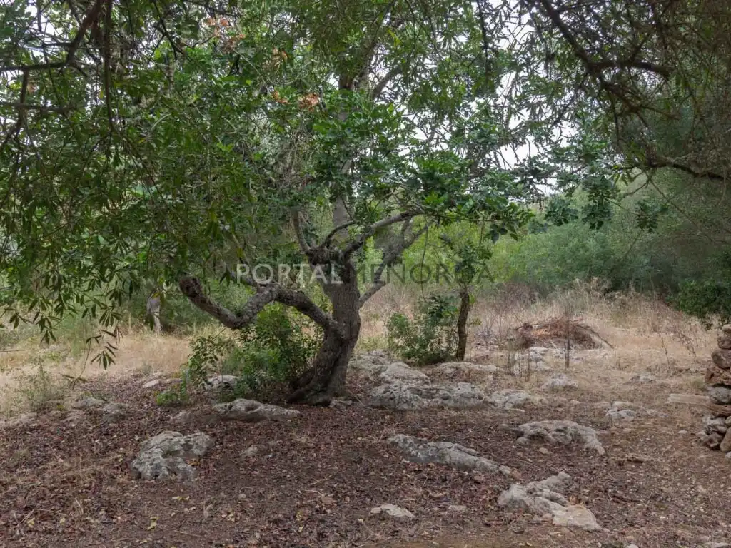 Country homes for sale in Es Castell