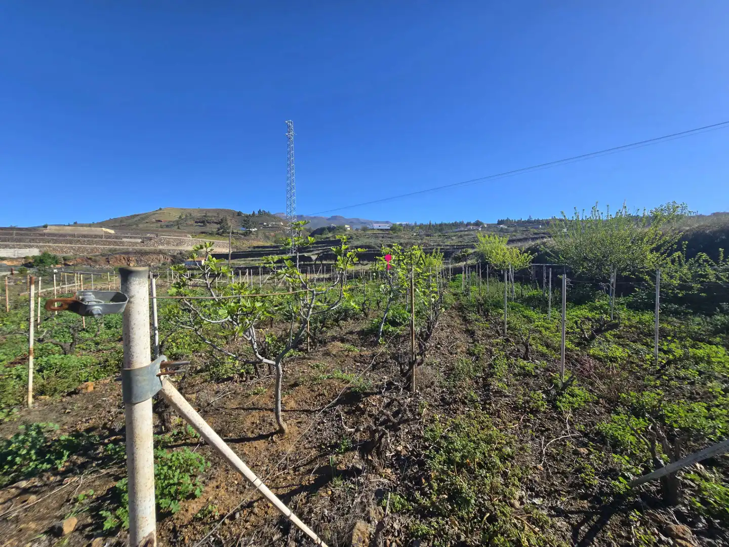Terreno rústico en venta en Vilaflor de Chasna, imagen 9