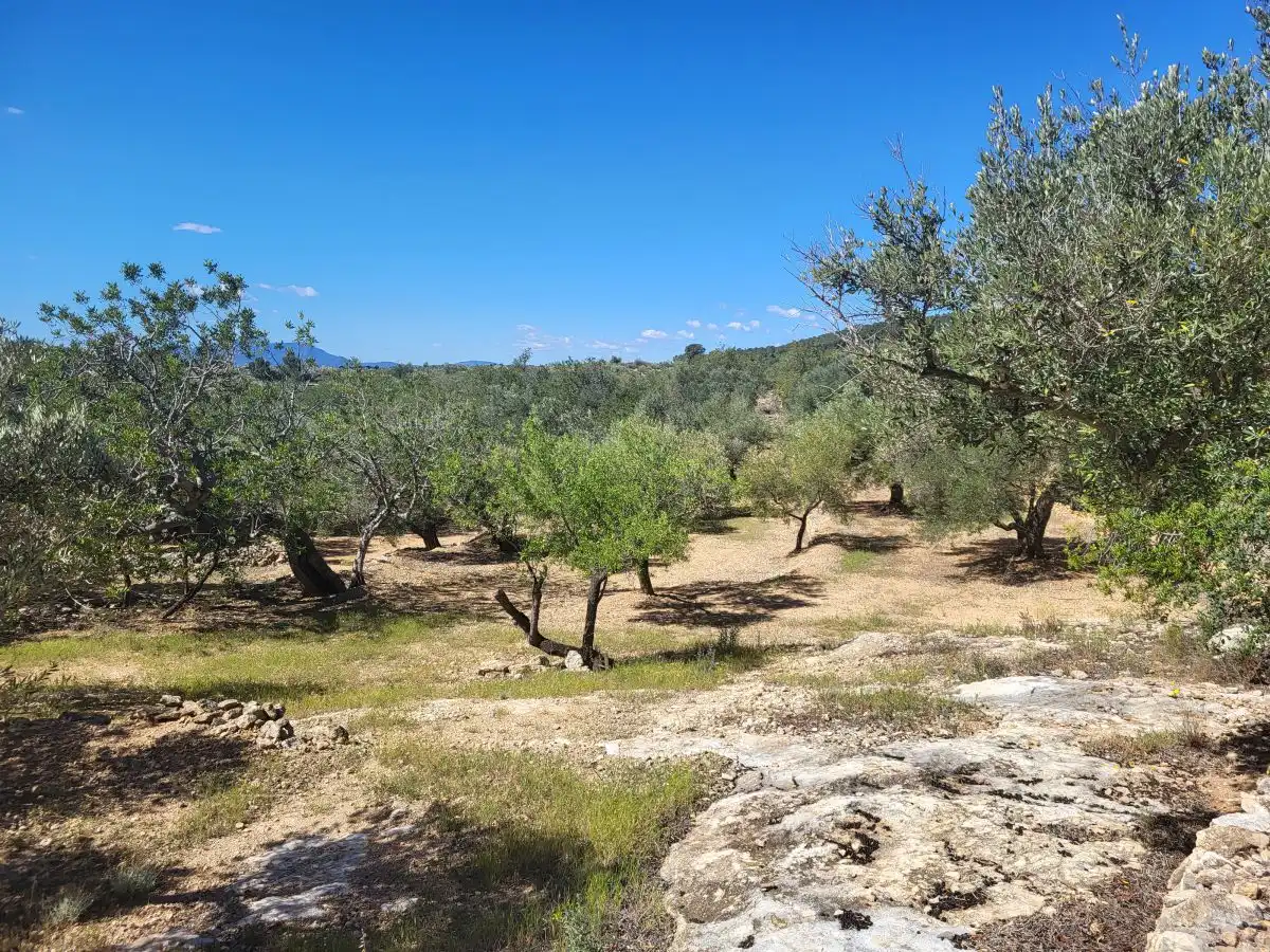 Country house for sale in Bassa del mig, imagen 26