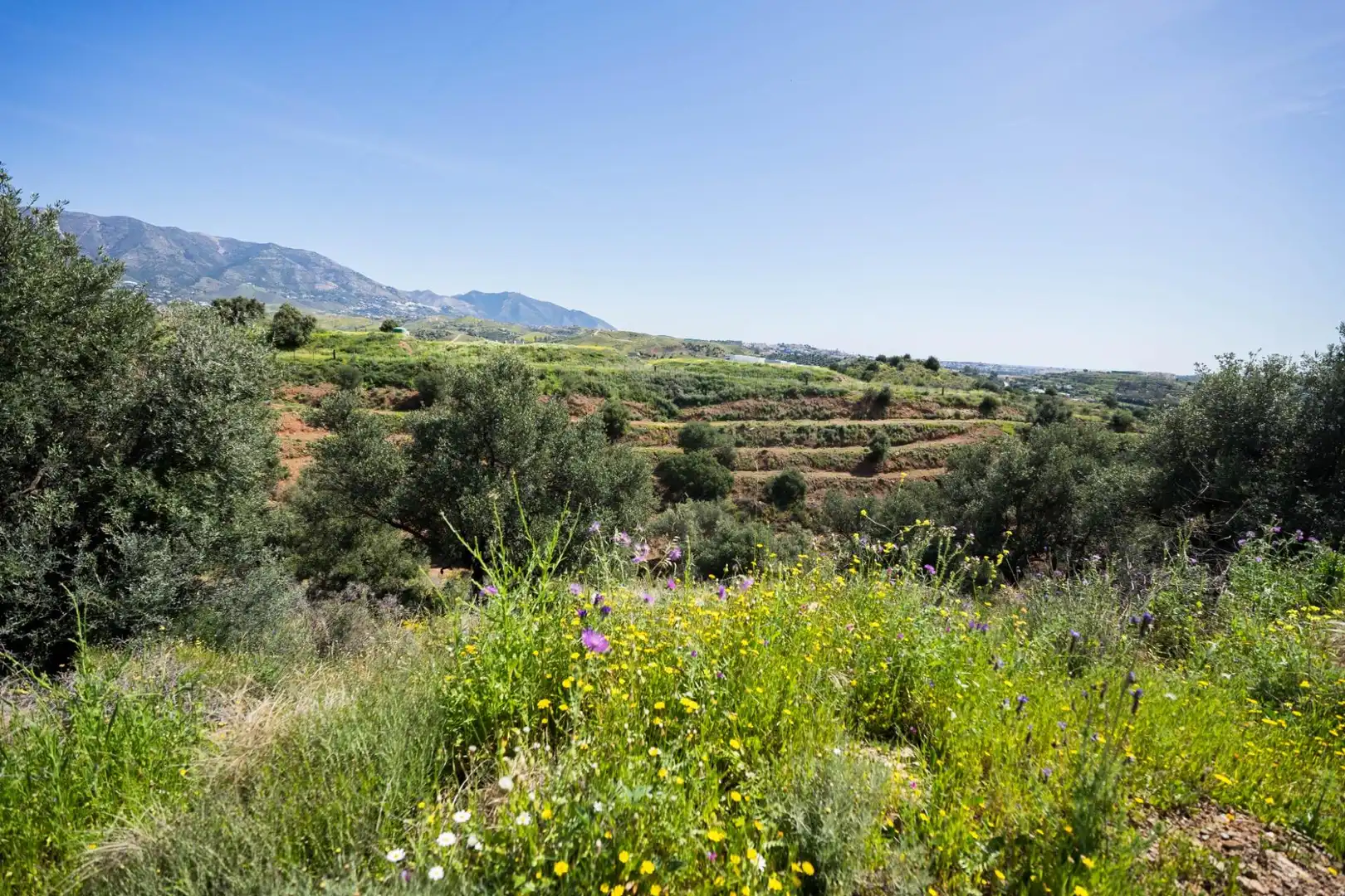 Terreno residencial en venta en Valtocado - La Alquería - La Atalaya, imagen 4