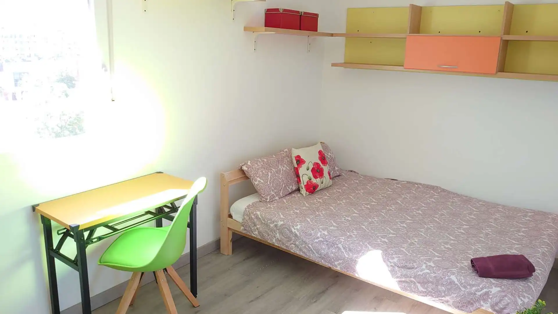 Habitación en Universidad