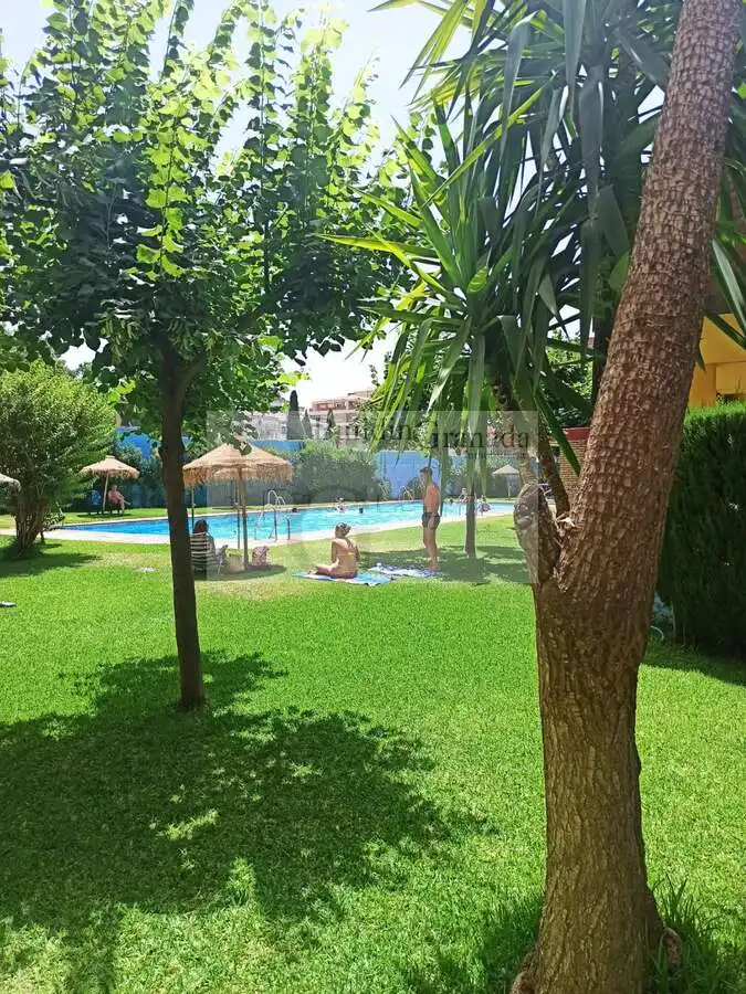 Swimming pool of Flat for rent in Granada  with Terrace and Furnished
