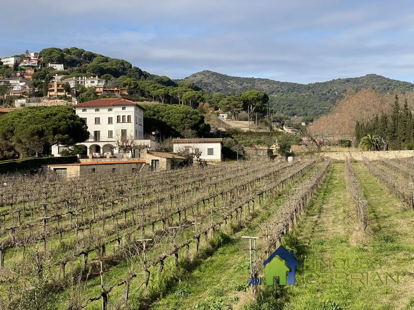 Vista exterior de Finca rústica en venta en Alella con Calefacción