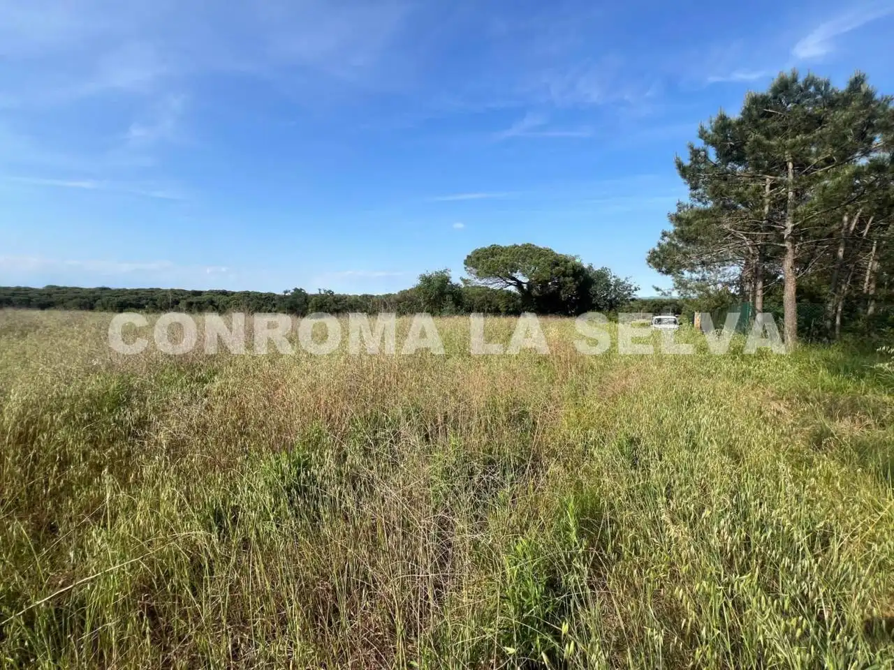 Terrain rustique à vendre à Riudarenes, imagen 13