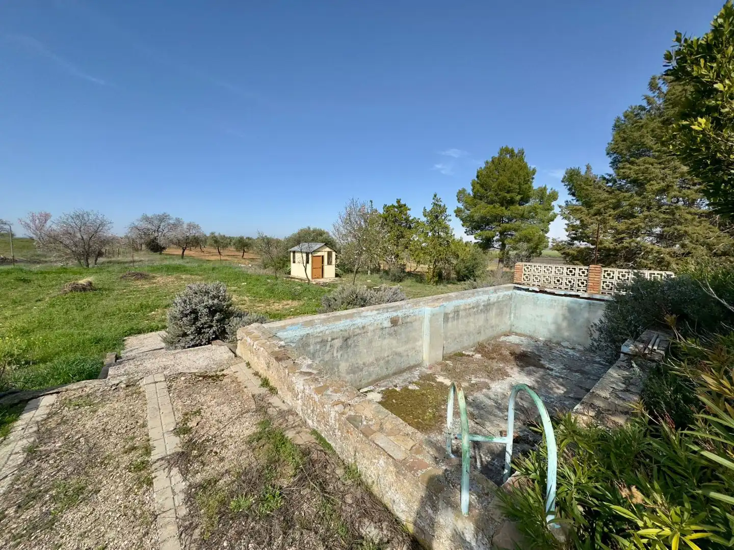 Casa rústica amb terrassa en venda a Torrenueva, imagen 62