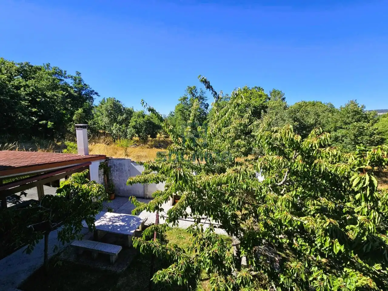 Jardí de Casa o xalet en venda en Ourense Capital  amb Calefacció i Jardí privat