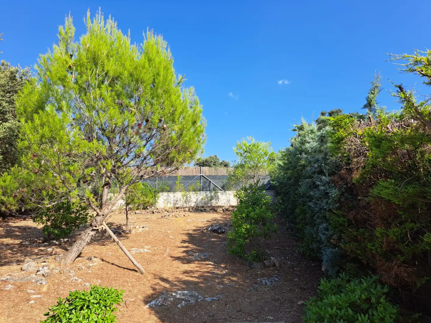 Jardí de Casa o xalet en venda en Albalate de Zorita amb Calefacció, Jardí privat i Terrassa