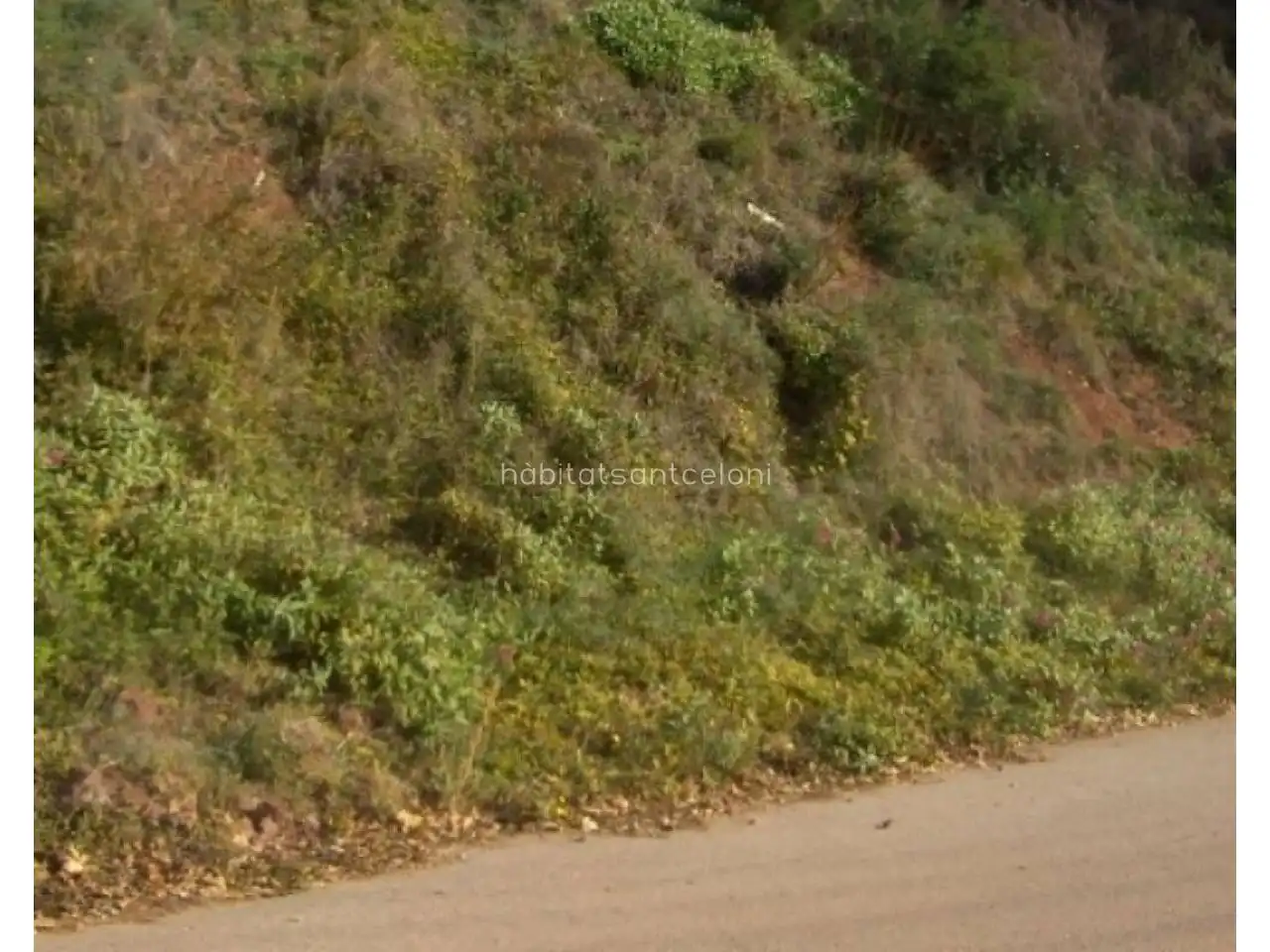 Terreny residencial en venda a Carretera Sant Bartomeu, imagen 2