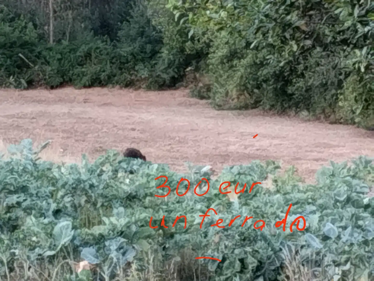 Terreno en venta en Cerdido