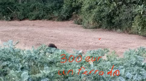 Foto 2 de Terreno en venta en Lugar Carballal, 8, Cerdido, A Coruña