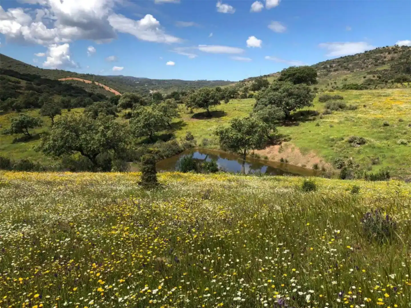 Jardín de Piso en venta en Zufre