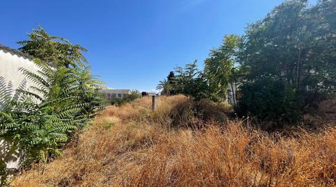 Foto 4 de Finca rústica en venda a Espeluy, Jaén