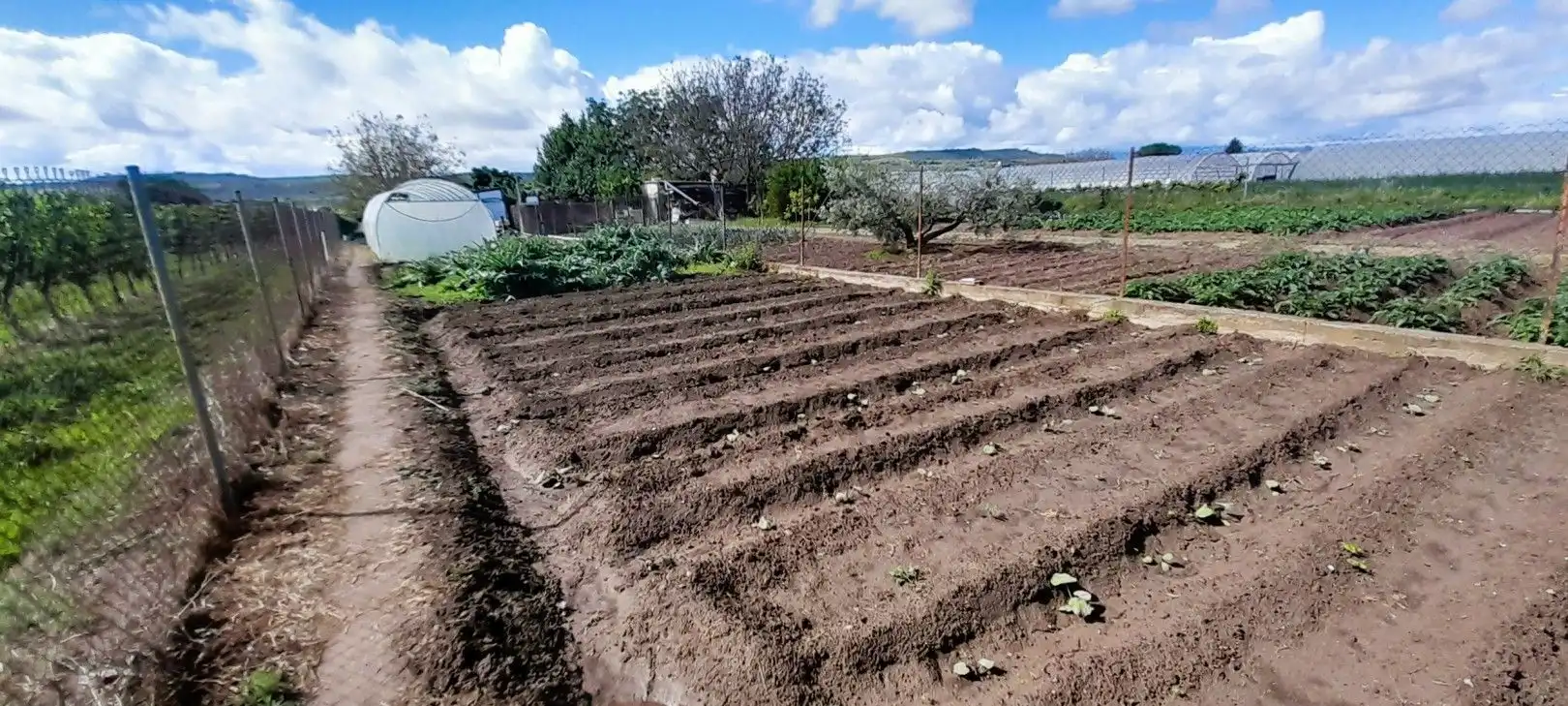 Terreni e lotti in vendita a La Portalada - Varea, imagen 26