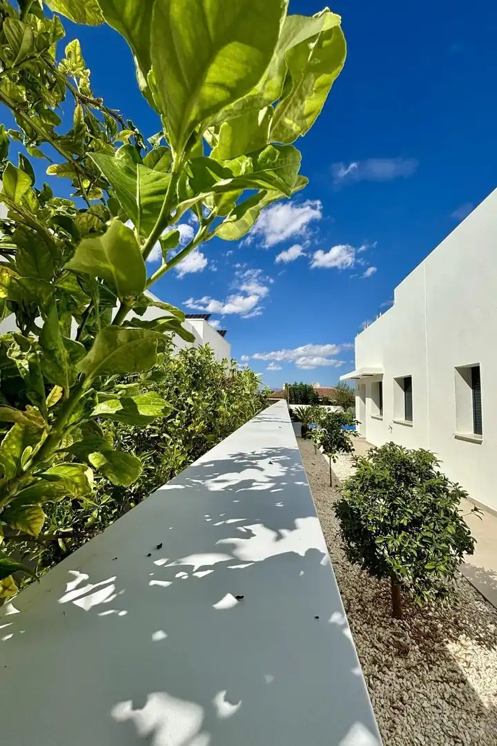 Casa en venta en Benijófar, imagen 5