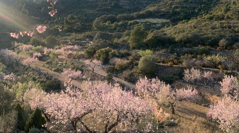 Photo 2 of Country house for sale in Sierra Engarcerán, Castellón